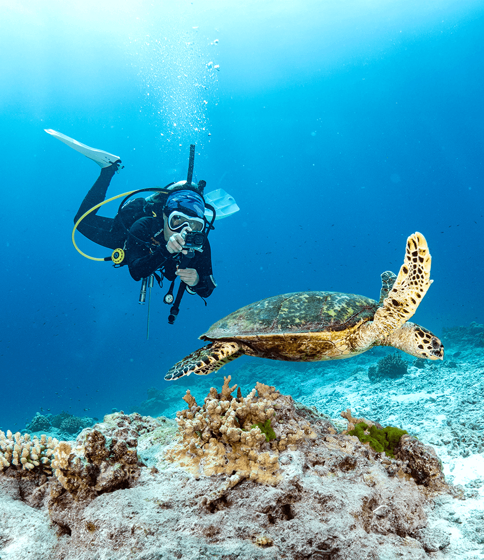 Scuba Diving