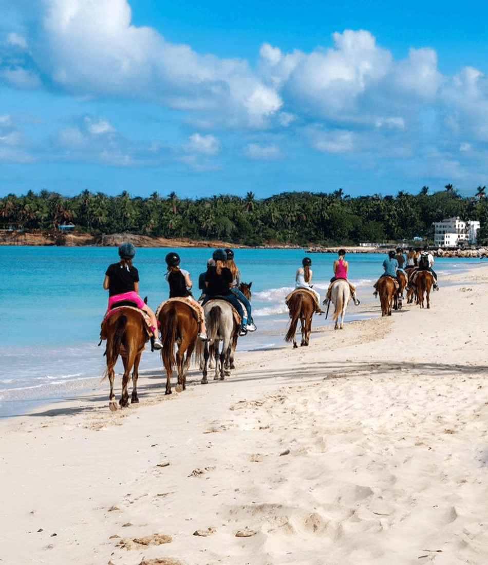 Horseback Riding